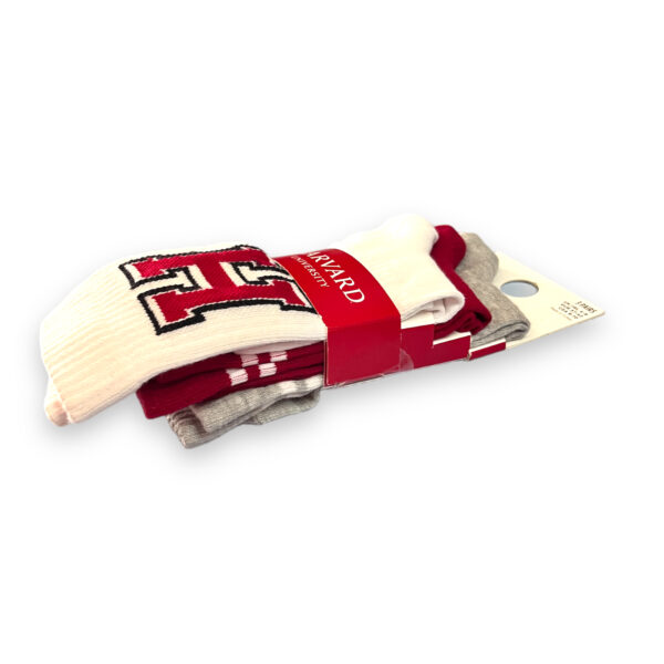 Pack 3 Calcetines Harvard - Imagen 2