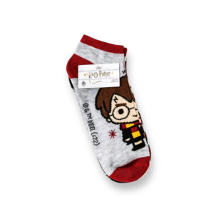 Pack 6 Calcetines Harry Potter