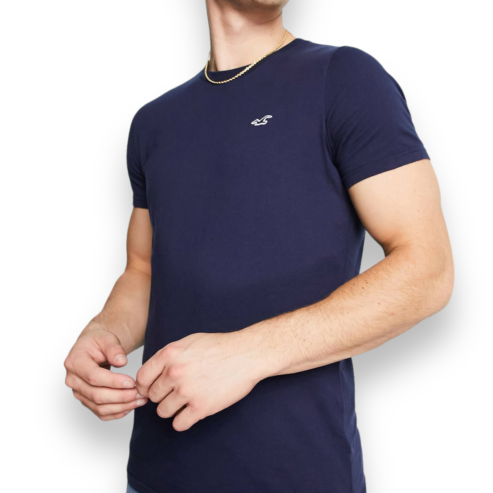 Polera Hombre Hollister