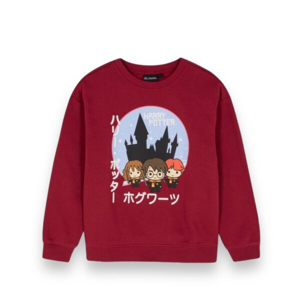 Conjunto Niños Polerón y Jogger Harry Potter - Imagen 4