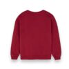 Conjunto Niños Polerón y Jogger Harry Potter - Imagen 5