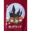 Conjunto Niños Polerón y Jogger Harry Potter - Imagen 6