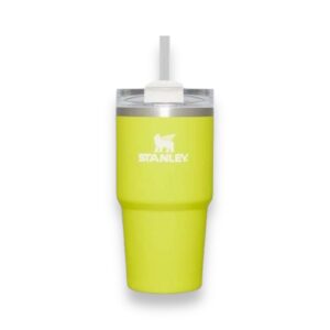 Stanley The Quencher 20 oz – Electric Yellow